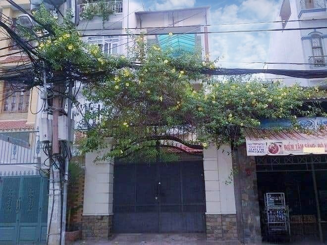 Cho thuê nhà mặt tiền đường Tân Canh