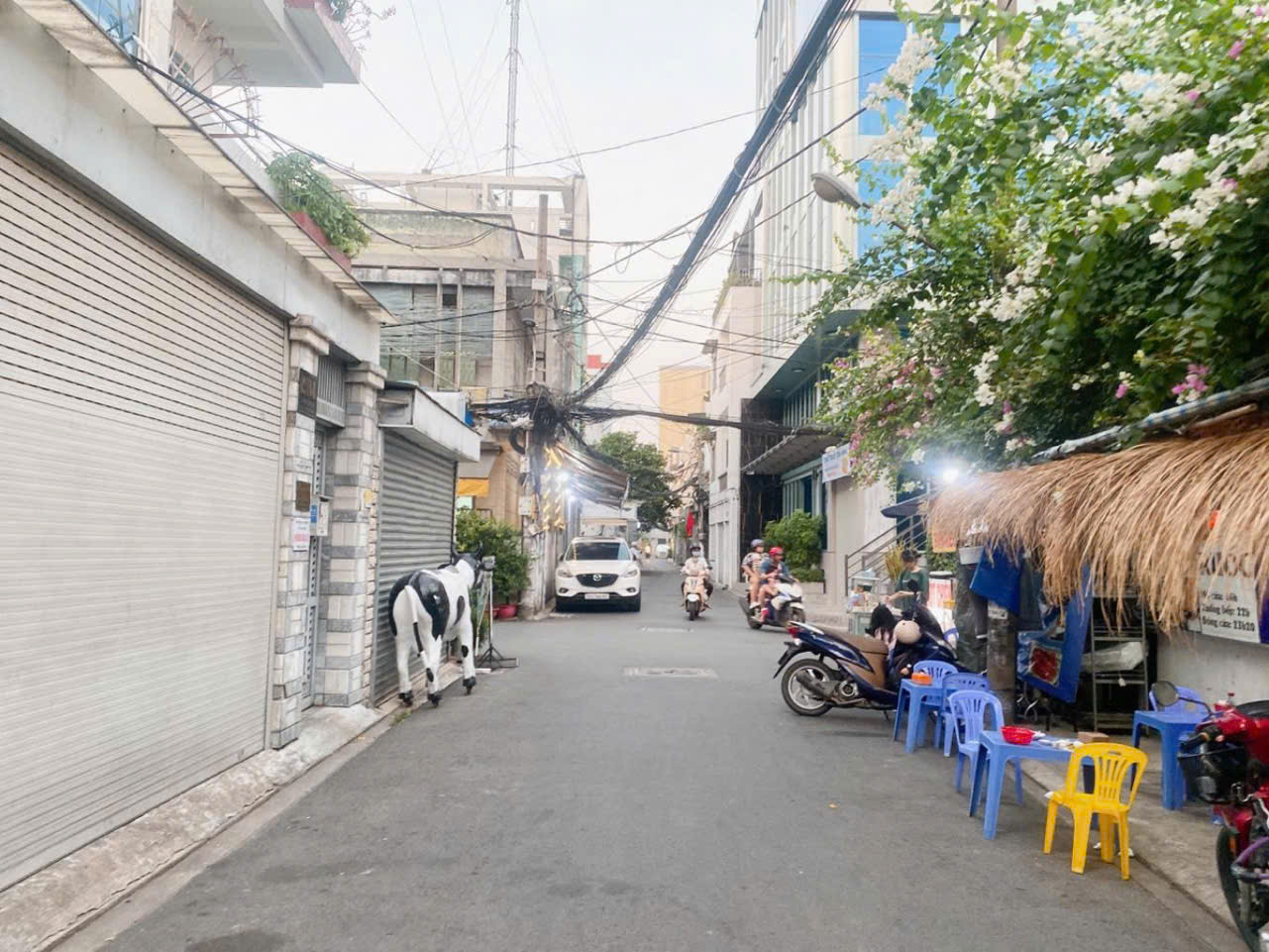 Bán nhà đường Trương Công Định quận Tân Bình