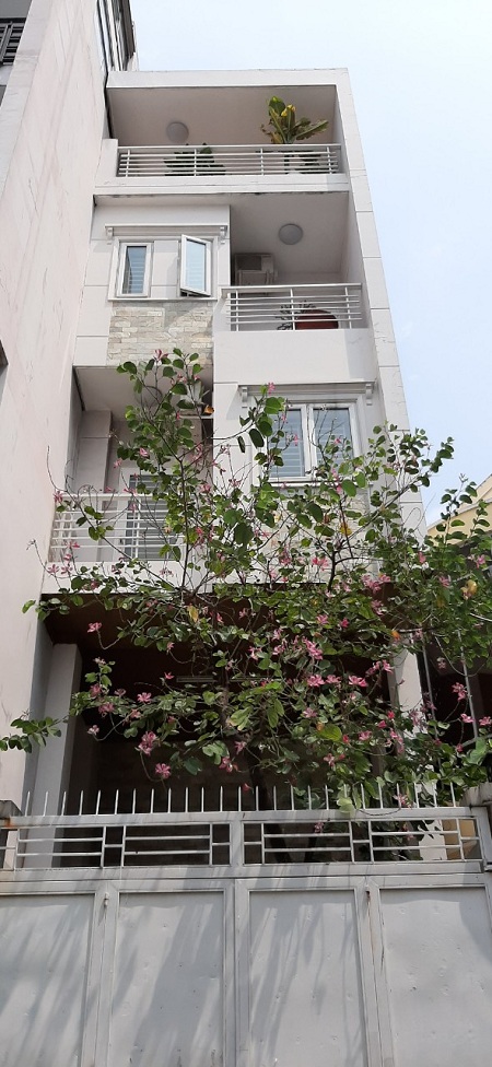 Cho thuê nhà quận Bình Thạnh, cho thuê nhà đường Nguyễn Xí