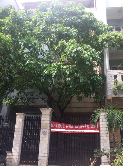 Nhà cho thuê nguyên căn Xuân Diệu quận Tân Bình