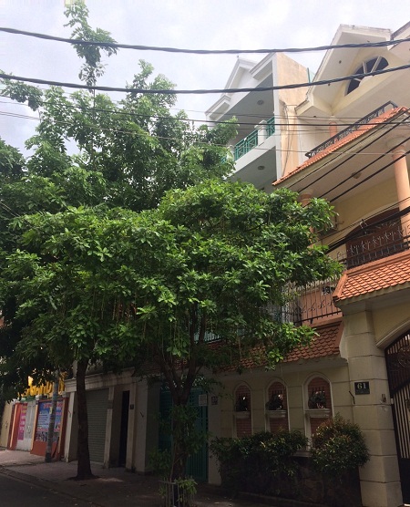 Thuê nhà quận tân bình, cho thuê nhà mới mặt tiền đường Phan Bá Phiến