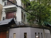 Cho thuê biệt thự 2 mặt tiền đường Trường Sơn Quận Tân Bình